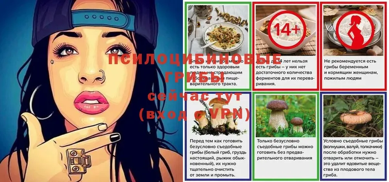 купить наркоту  Спасск-Рязанский  Галлюциногенные грибы Cubensis 